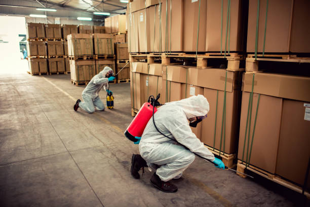 Best Emergency Pest Control  in Ellsworth, KS
