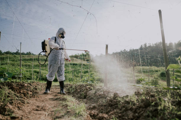 Best Commercial Pest Control Services  in Ellsworth, KS