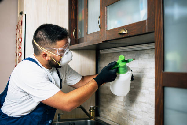 Best Local Pest Control Services  in Ellsworth, KS