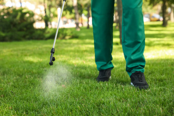 Best Pest Prevention Services  in Ellsworth, KS