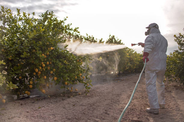 Best Pest Control Near Me  in Ellsworth, KS