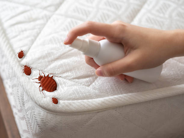 Best Insect Control  in Ellsworth, KS