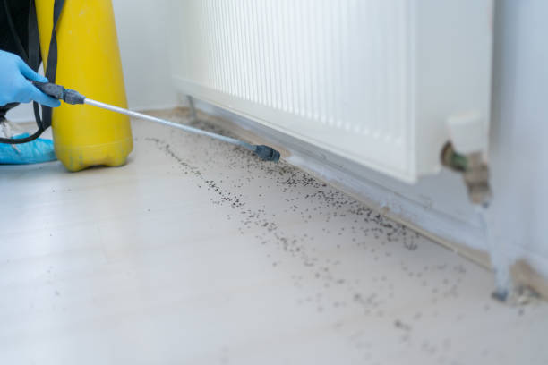 Best Bed Bug Extermination  in Ellsworth, KS