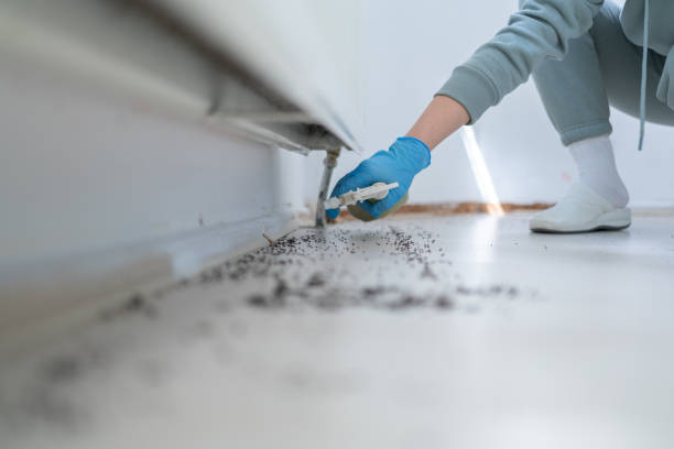 Best Pest Control Near Me in Ellsworth, KS